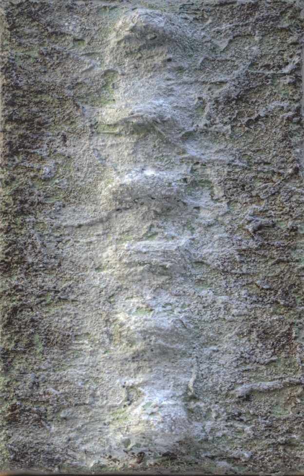 Fossile II